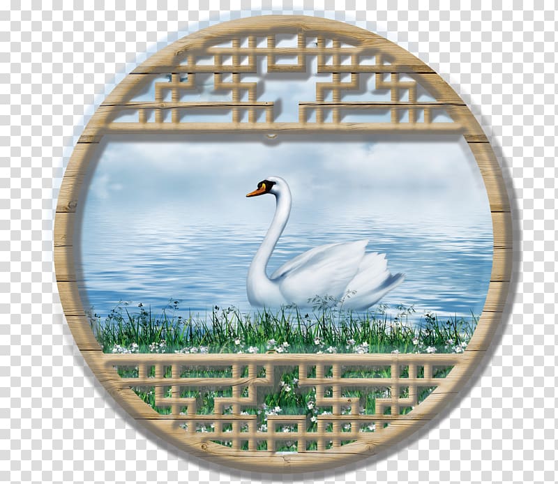 Cygnini , Water swan transparent background PNG clipart
