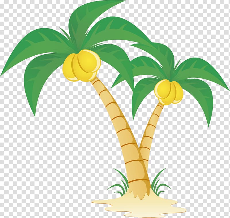 coconut tree art, Arecaceae Tree , Coconut tree material transparent background PNG clipart