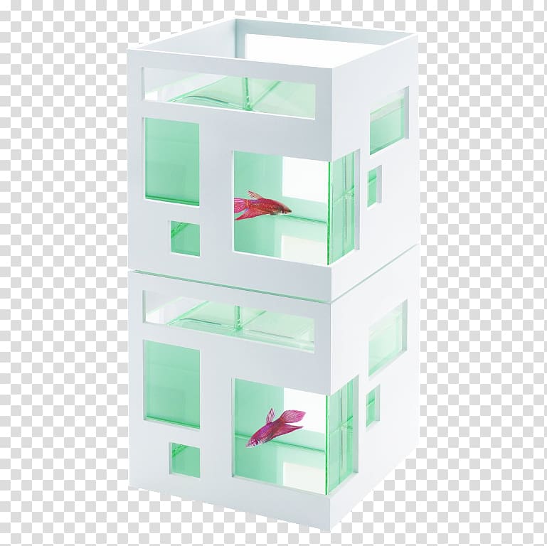 Siamese fighting fish Aquarium The Fish Hotel, hotel transparent background PNG clipart