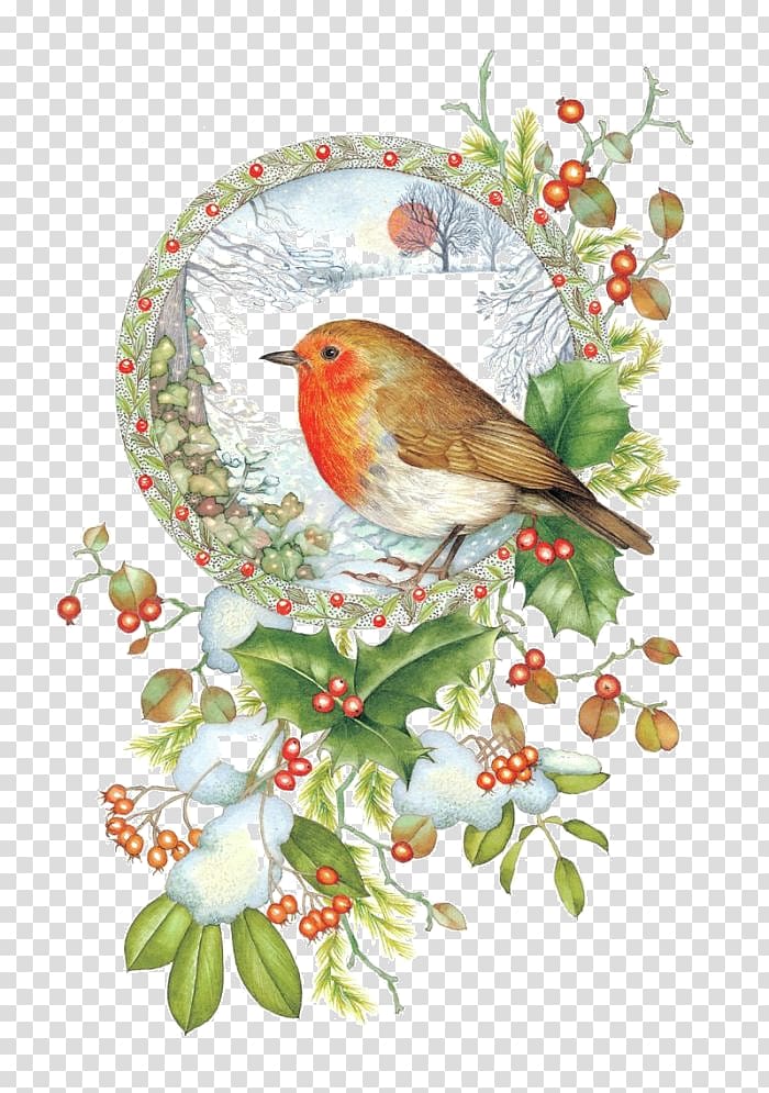 European robin Bird Christmas card American robin, Bird transparent background PNG clipart