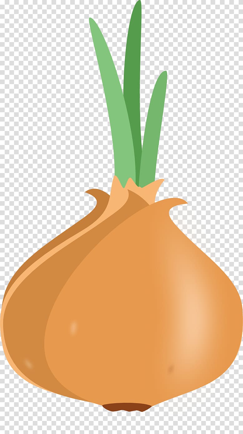 Onion Borscht Drawing Vegetable Raster graphics, onion transparent background PNG clipart