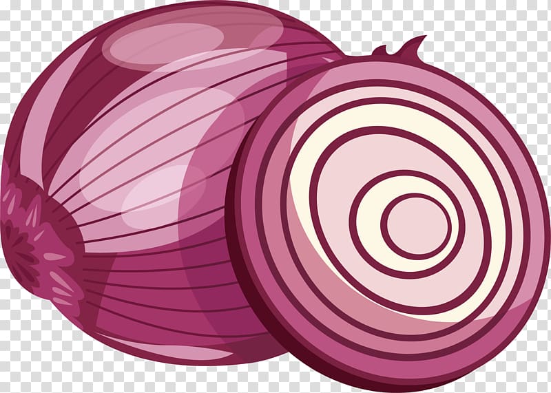 Red onion Purple Vegetable, Cut purple onion transparent background PNG clipart