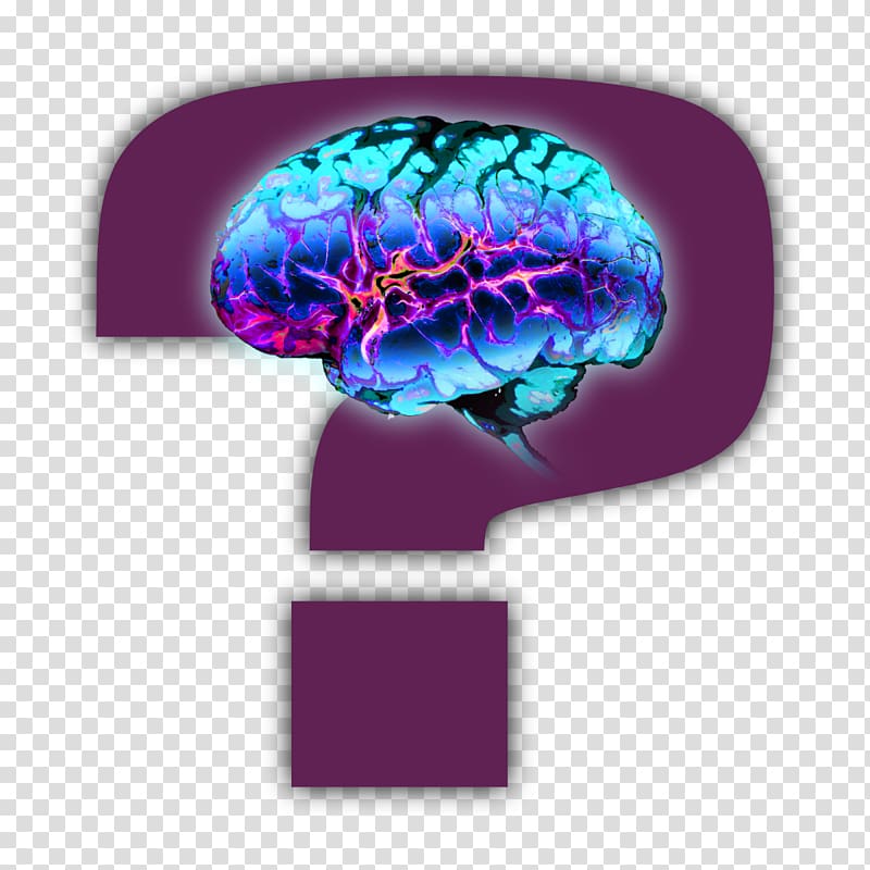 Brain Organism Neurology Font, Brain transparent background PNG clipart