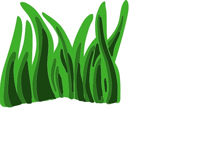 Seaweed Animation , Rumput Animasi transparent background PNG clipart