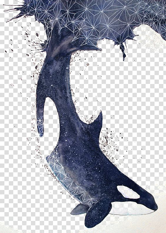 black killer whale , Killer whale Baby Whale Sea lion Blue whale, blue whale transparent background PNG clipart