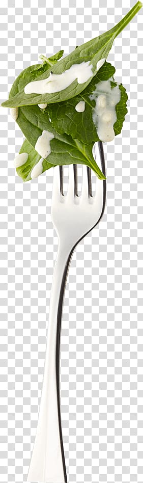 Organic food Gluten-free diet Pomegranate juice Big Idea Holdings, LLC Salad, mint leaf recipes transparent background PNG clipart