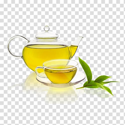 Green tea Herbal tea Vegetarian cuisine Tea plant, green tea transparent background PNG clipart