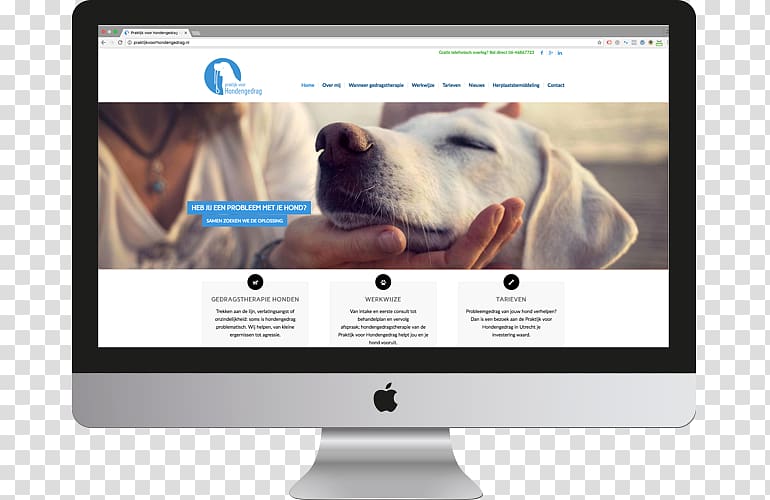 Wohlfühlfaktoren: Hundeernährung, Pflege, Alltagstipps Web design Web page, web design transparent background PNG clipart