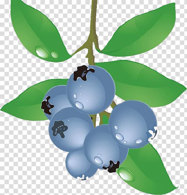 Blueberry Food Grape, blueberry transparent background PNG clipart