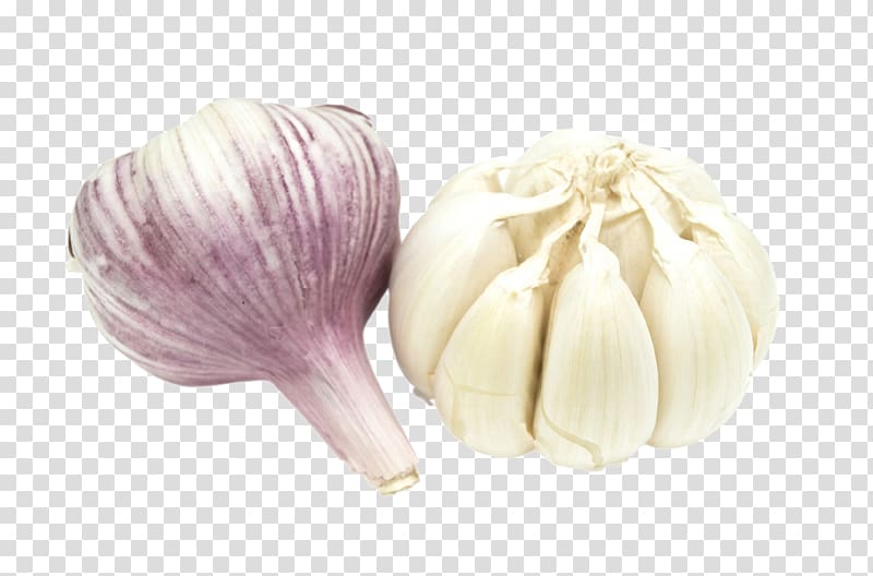 Elephant garlic Featurepics Vegetable, Garlic transparent background PNG clipart