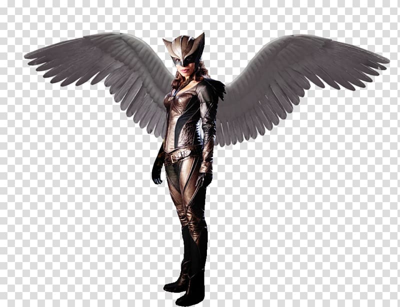 Hawkgirl Display resolution, Hawkgirl transparent background PNG clipart