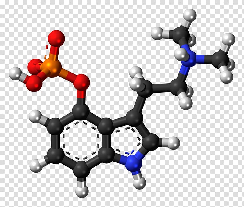 Serotonin 5-HT receptor Dopamine Neurotransmitter, others transparent background PNG clipart