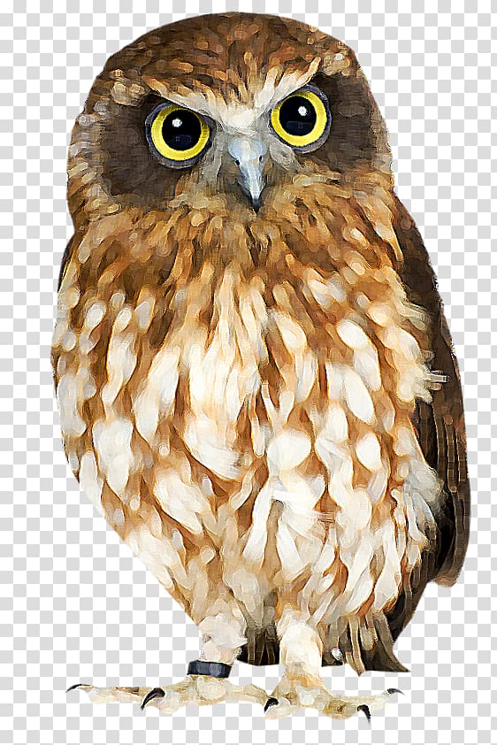 Eurasian eagle-owl Bird True owl Skazki i kartinki Child, Bird transparent background PNG clipart