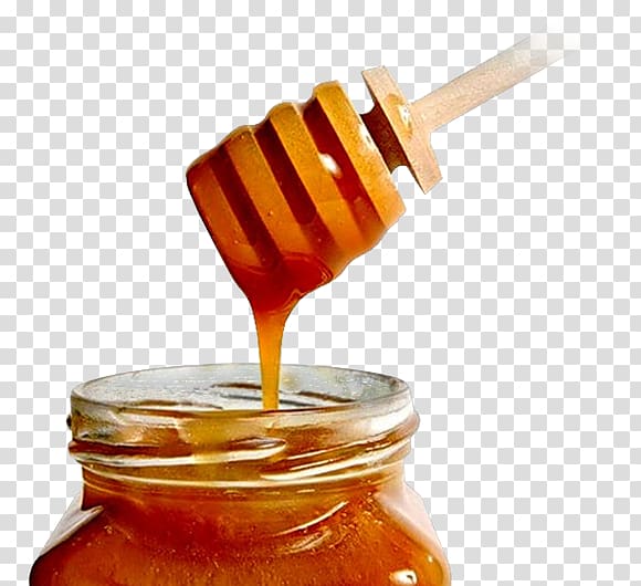 Mānuka honey Honey bee Healing, bee transparent background PNG clipart
