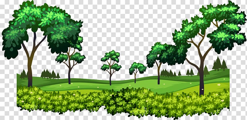 Forest Vecteur, hand painted woods transparent background PNG clipart