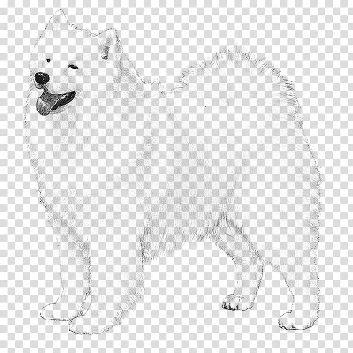 Samoyed dog American Cocker Spaniel Labrador Retriever Bulldog Pointer, northern characteristic transparent background PNG clipart