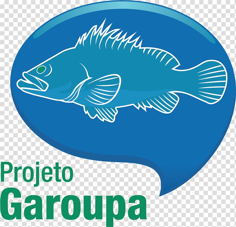 Projeto Garoupa Gulf grouper Fish Red grouper, fish transparent background PNG clipart