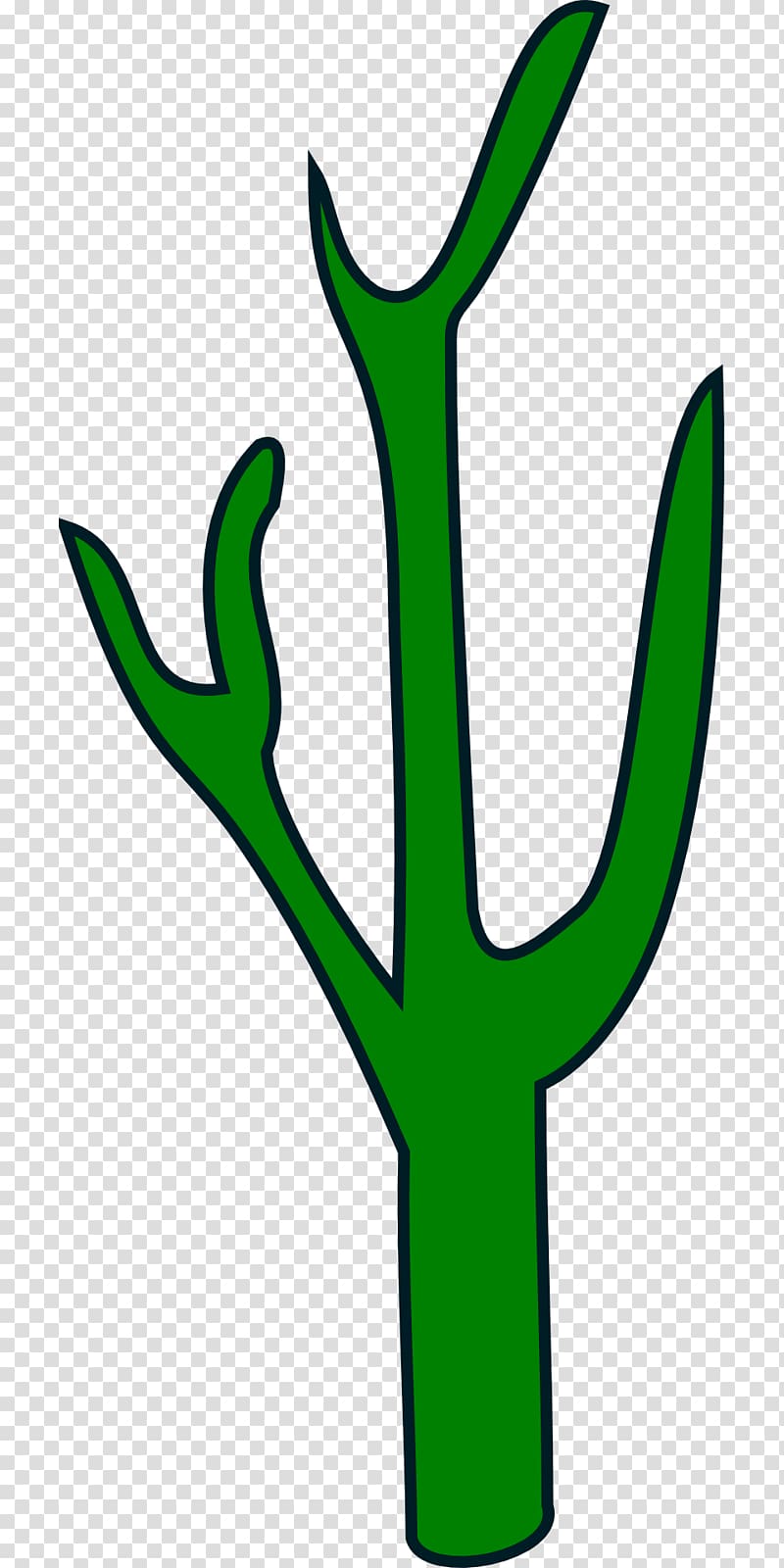 Cactaceae Plant Saguaro Suculent Transparent Background Png Clipart Hiclipart