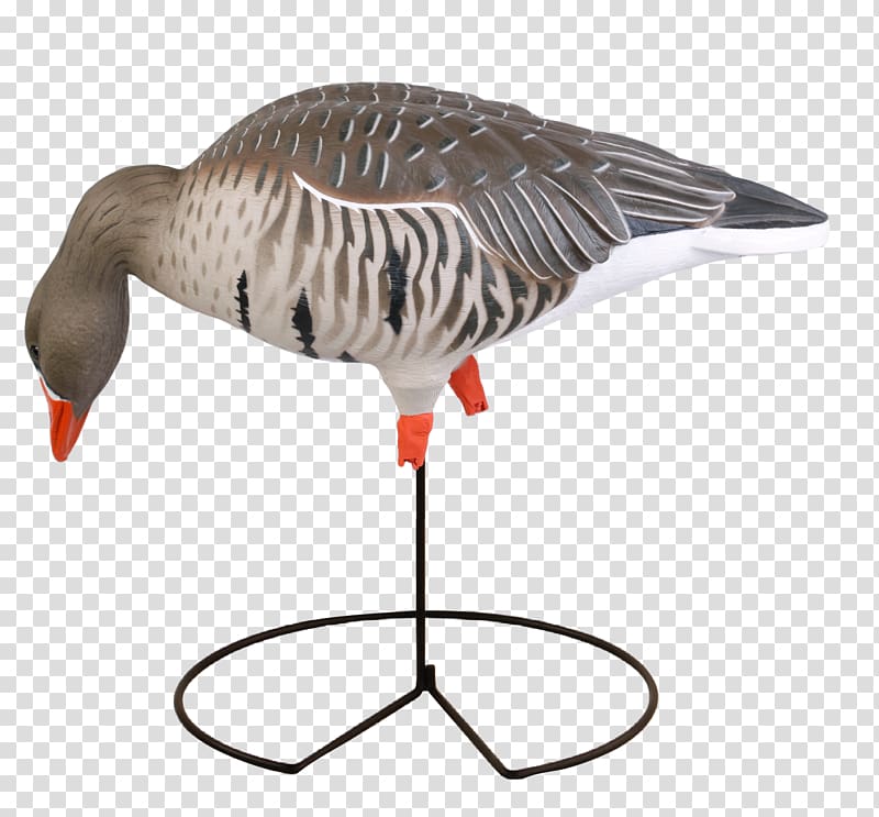 Greylag goose Duck Mallard Decoy, goose transparent background PNG clipart