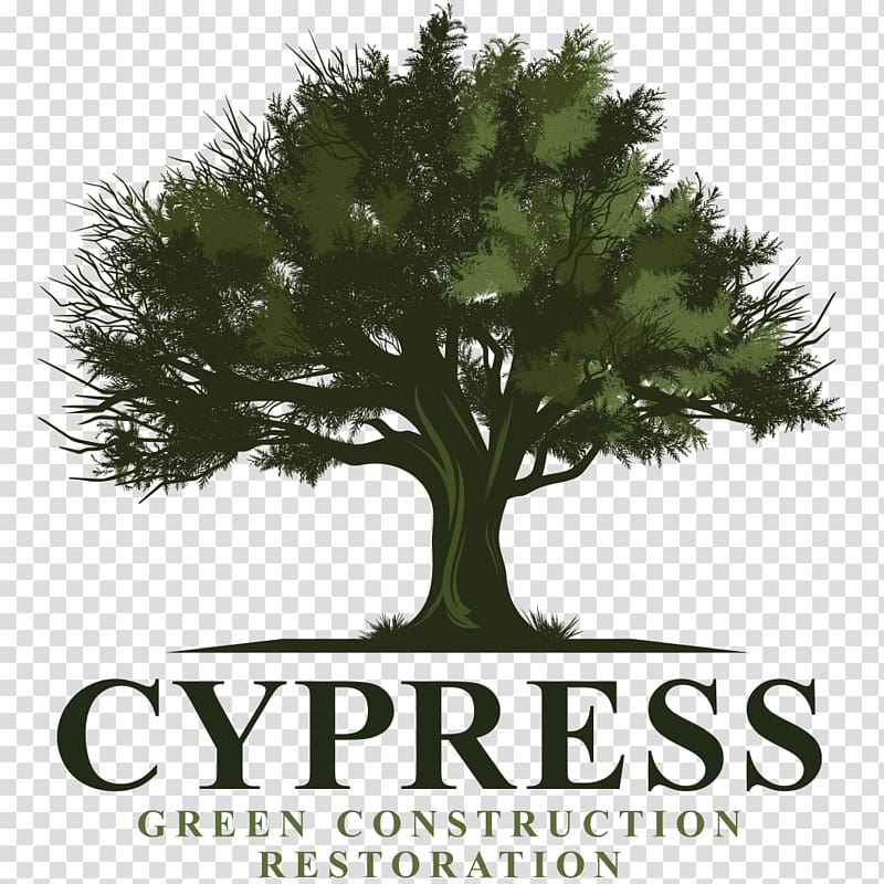 Cypress Energy Partners Partnership Company Organization Business, fed transparent background PNG clipart