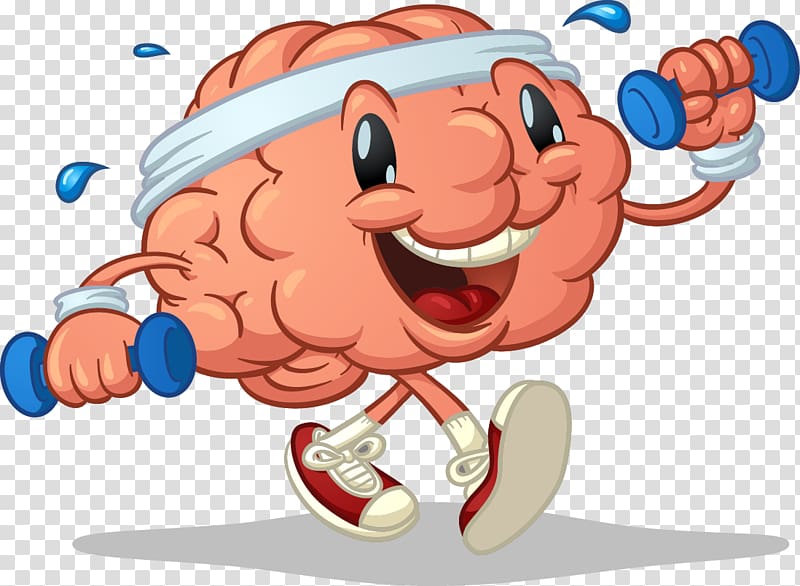 Brain Cognitive training Exercise Cerebral Blood Flow, Brain transparent background PNG clipart