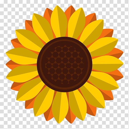 Common sunflower, sunflower oil transparent background PNG clipart