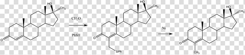 Vitamin D Testosterone Cholecalciferol Ergocalciferol, synthesis transparent background PNG clipart