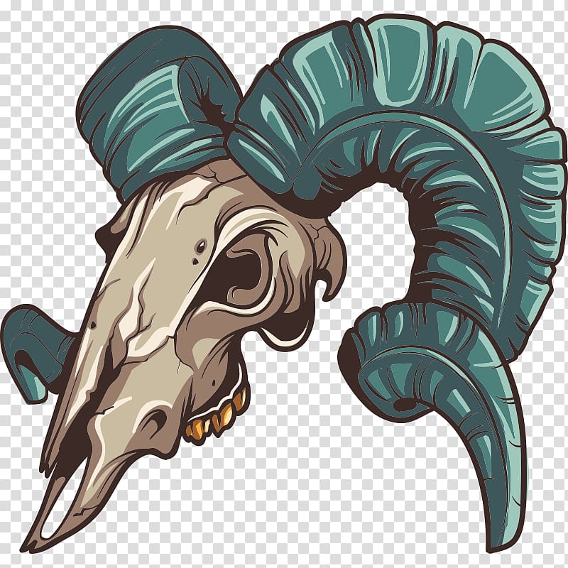 Animal Skulls Horn, skull transparent background PNG clipart