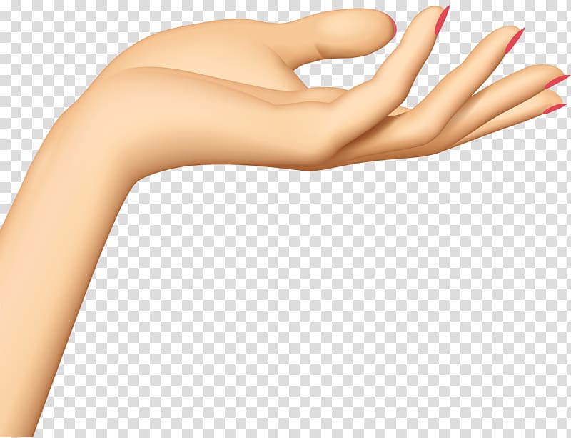 person's left hand, Hand , Hand transparent background PNG clipart