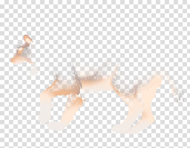 Canidae Dog H&M Tail Mammal, mist-shrouded transparent background PNG clipart
