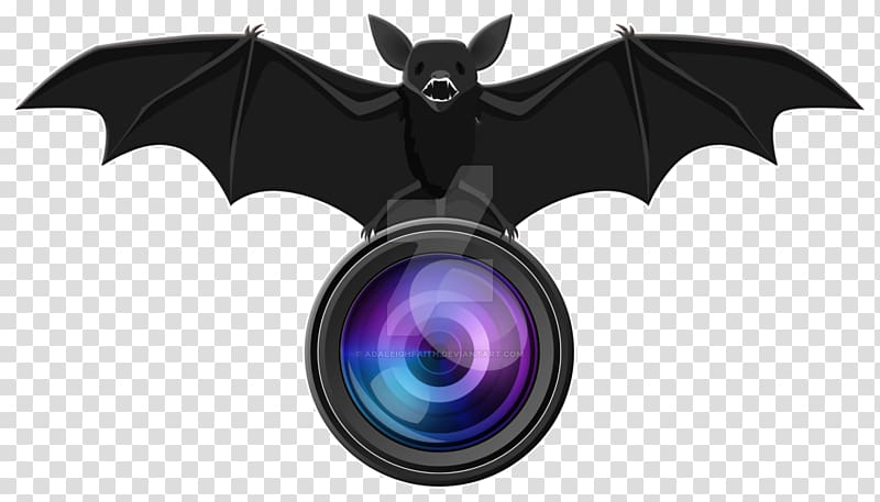 Camera Lens Icon Logo Design for Photography Activity Stock Vector -  Illustration of film, abstract: 168354603