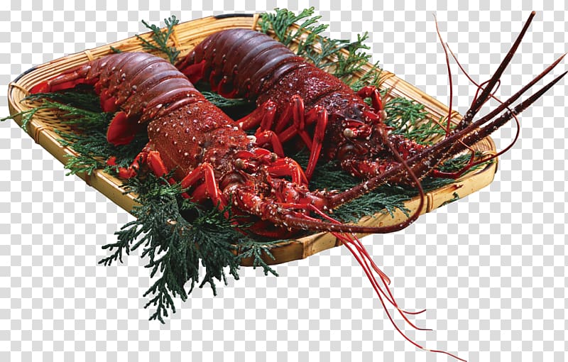 Palinurus elephas Lobster Chinese cuisine Teppanyaki Recipe, lobster transparent background PNG clipart