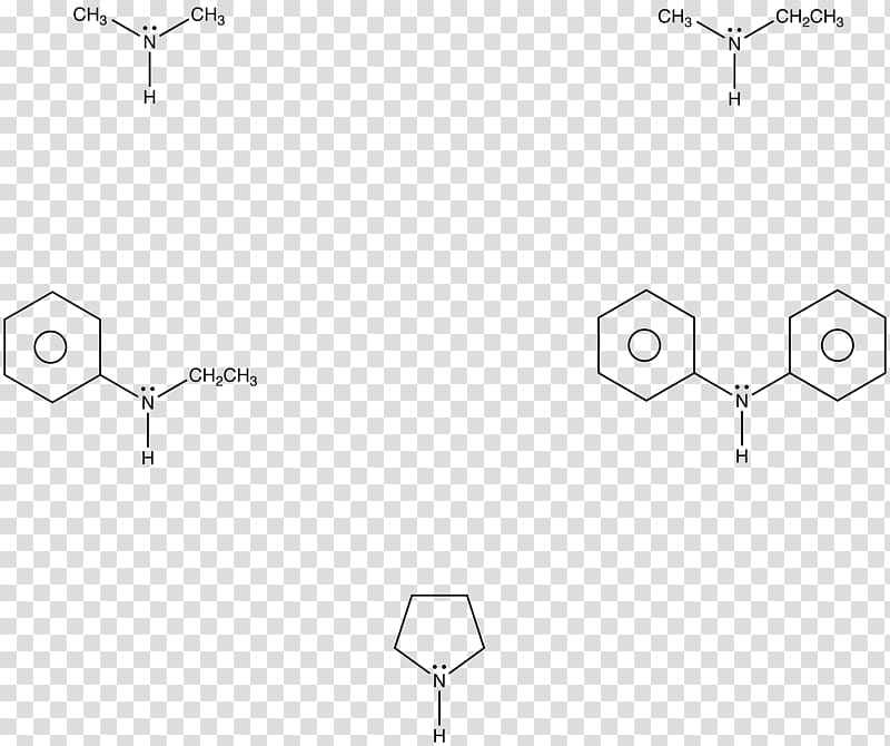Aromatic amine Ether Amino acid Aromaticity, others transparent background PNG clipart