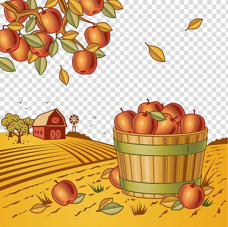 Harvest , Autumn harvest fruit transparent background PNG clipart
