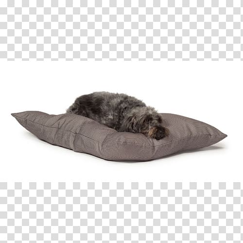 Duvet DoggieGadgets.com Bed Sleep, Dog transparent background PNG clipart