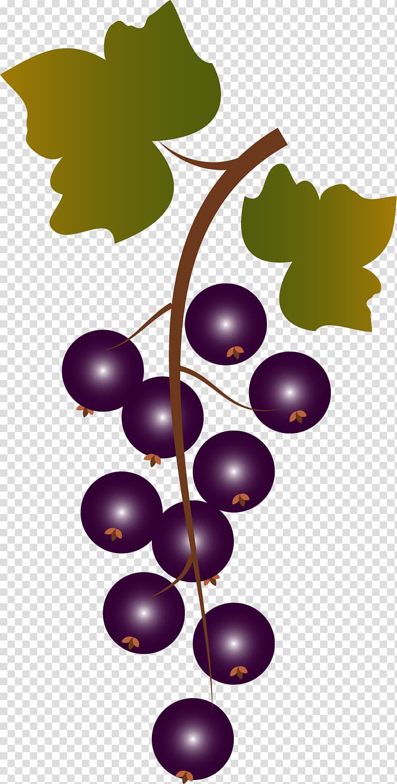 Grape Fruit Purple, a bunch of grapes transparent background PNG clipart