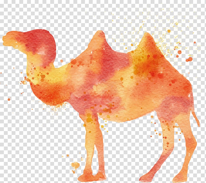 Camel Watercolor painting Illustration, Camel transparent background PNG clipart