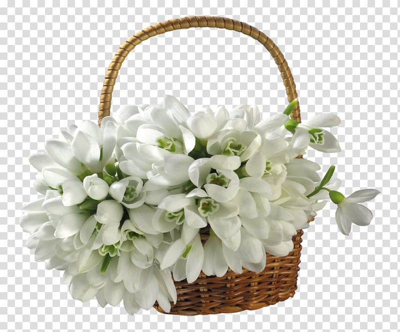 Snowdrop Flower Basket , snowdrop transparent background PNG clipart