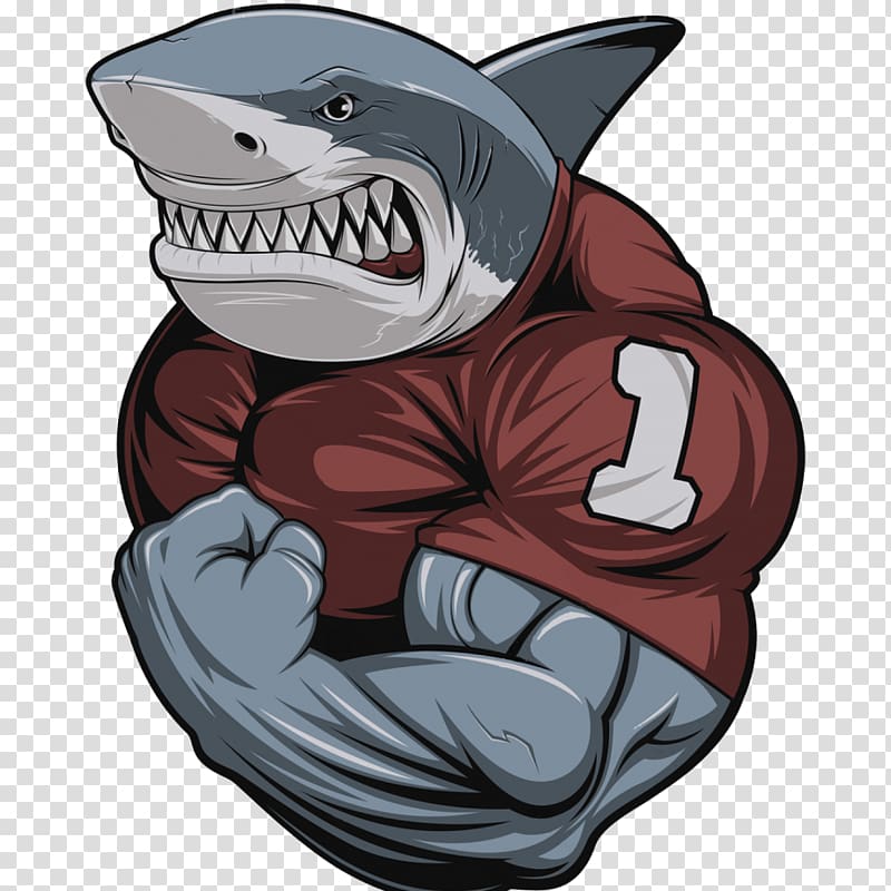 graphics Great white shark Bodybuilding Illustration, shark transparent background PNG clipart