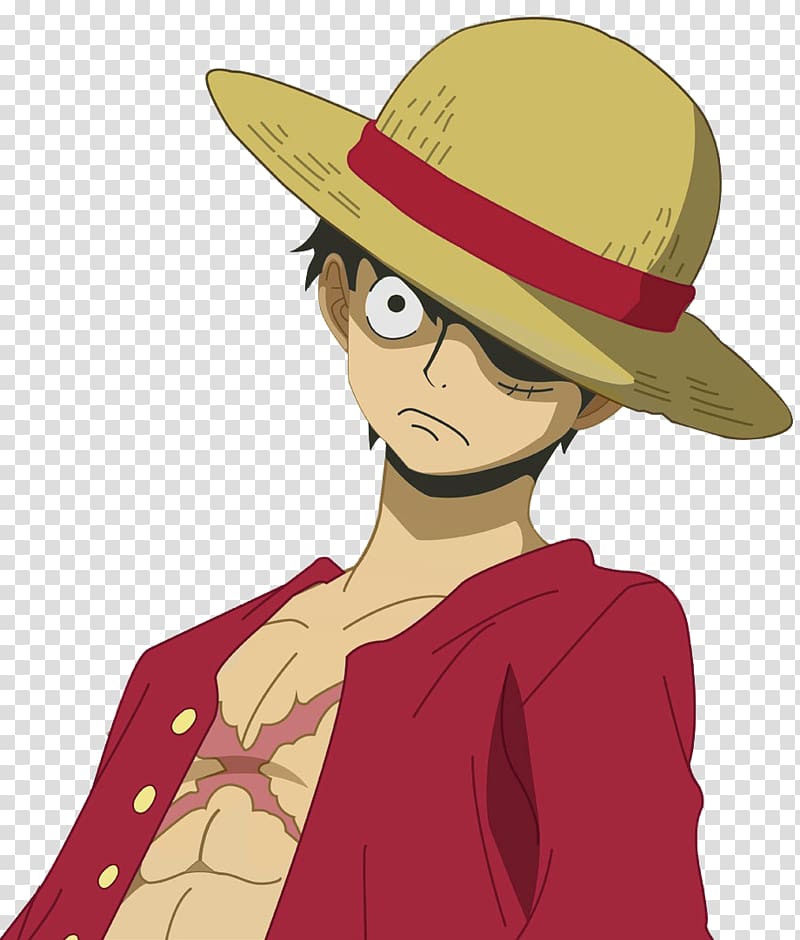 One Piece Monkey D. Luffy illustration, One Piece: Pirate Warriors