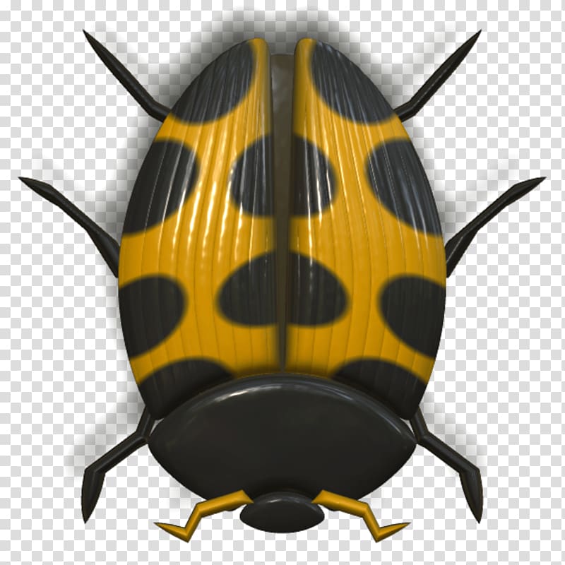yellow and black spotted beetle, Ladybug Orange and Black transparent background PNG clipart