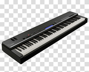 Nord Electro Stage piano Yamaha CP4 Stage Yamaha Corporation, electronic piano transparent background PNG clipart thumbnail