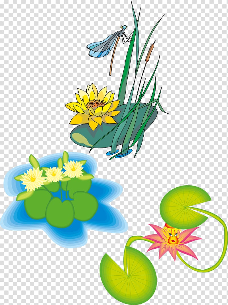 Euclidean Adobe Illustrator, dragonfly transparent background PNG clipart