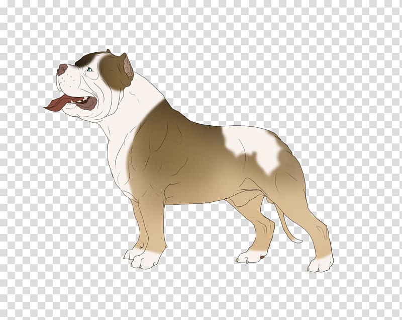 Dorset Olde Tyme Bulldogge Olde English Bulldogge Toy Bulldog American Bulldog Dog breed, puppy transparent background PNG clipart