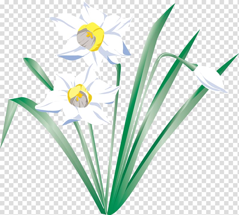 Flower I Wandered Lonely as a Cloud Daffodil, Narcissus transparent background PNG clipart