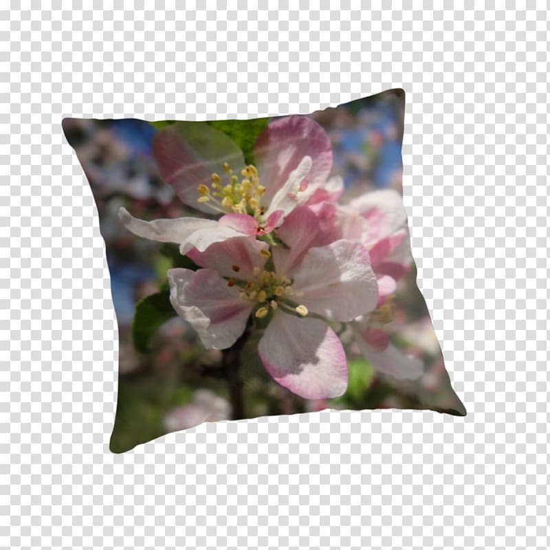 Throw Pillows Cushion Flower Petal, peach blossom transparent background PNG clipart