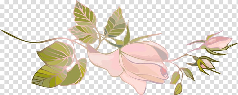 pink Magnolia flower illustration, Flower decoration transparent background PNG clipart