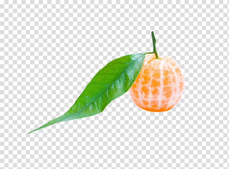 Mandarin orange Smoothie Fruit Vegetable, Shell orange peel transparent background PNG clipart