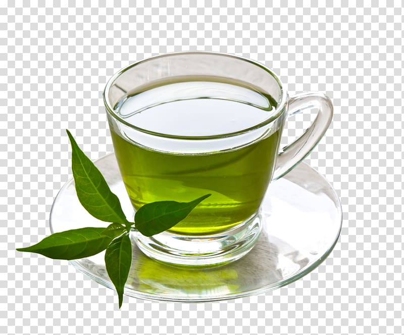 Green tea Coffee Herbal tea Drink, Cup of green tea, green tea inside clear glass cup on top of glass plate transparent background PNG clipart
