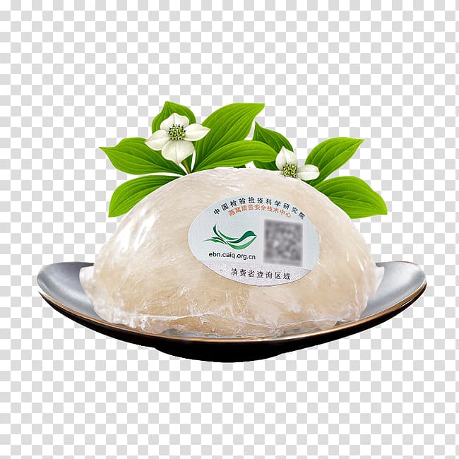 White Bird\'s Nest transparent background PNG clipart